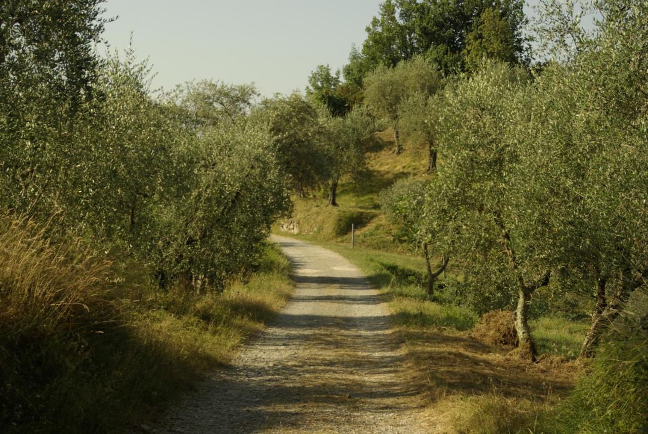 Ferienhaus Aramo Verde *